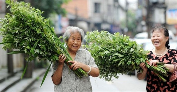 离合器橡胶气囊厂家|端午属于我们的节日那些味道那些人